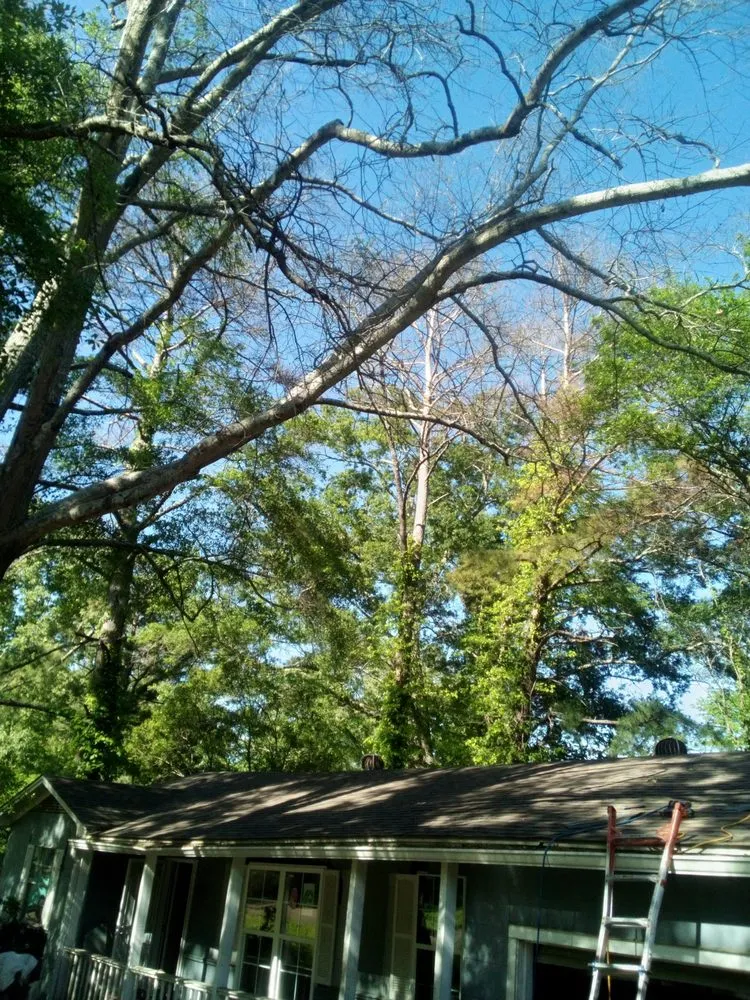 Slide of WB Construction