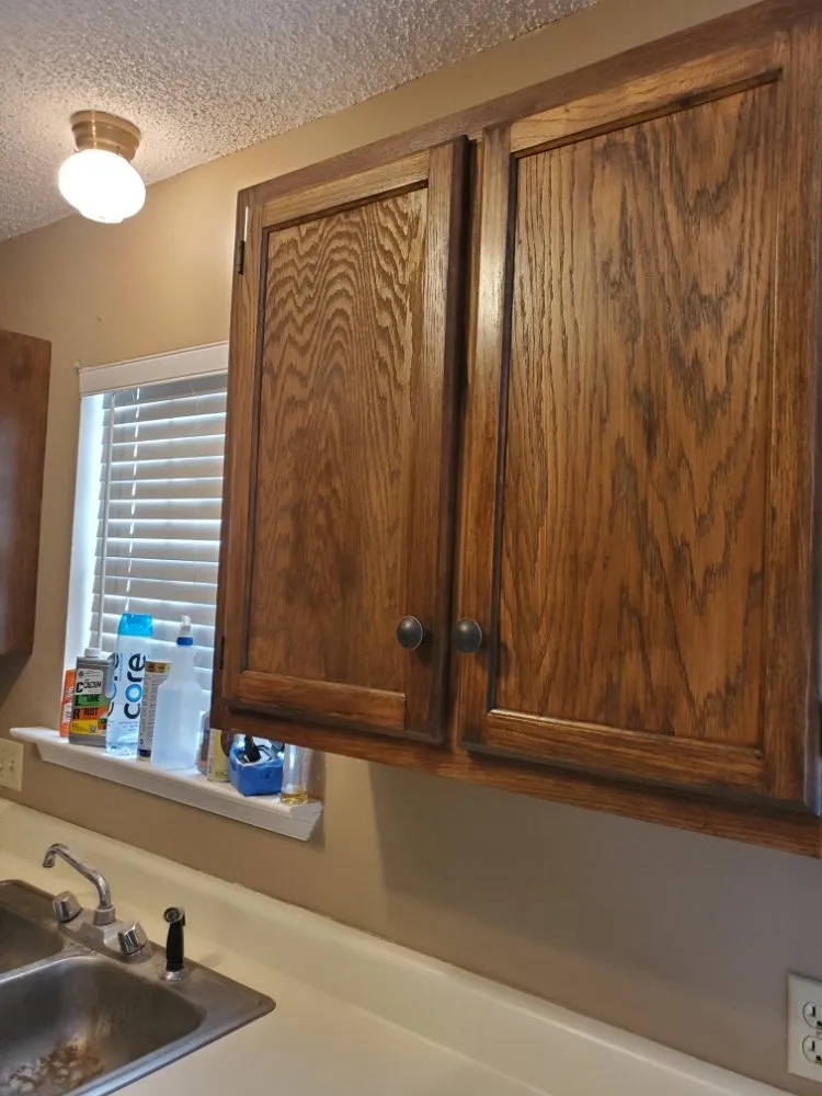 Slide of WBC Solutions