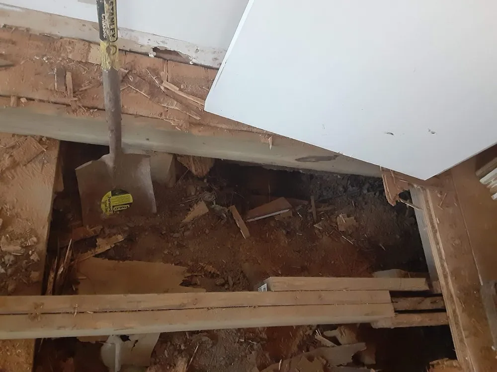 Slide of WBC Solutions