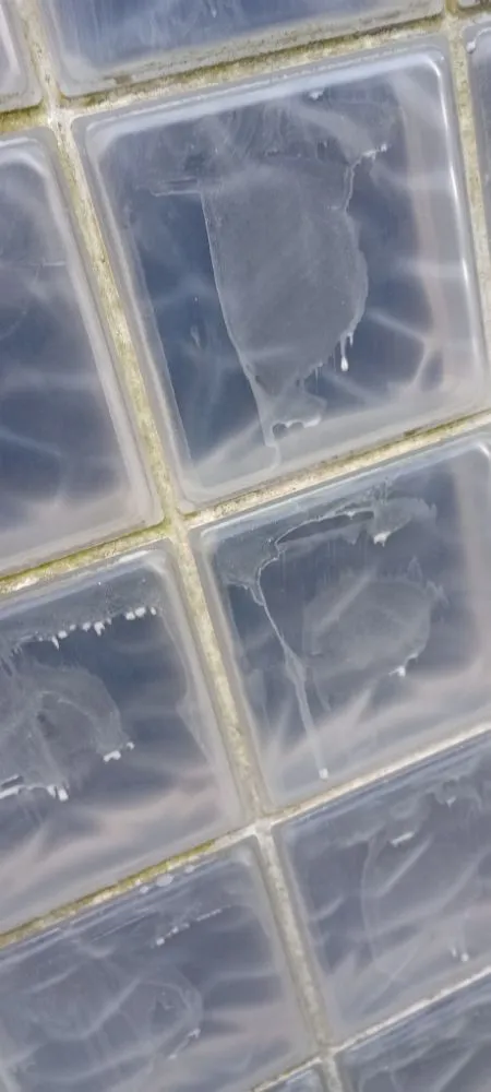 Slide of WC Home Services