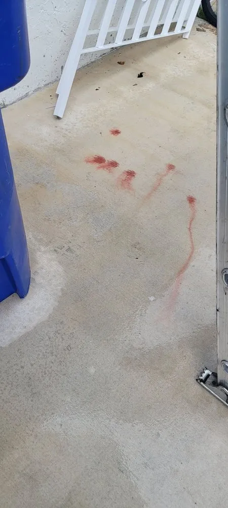 Slide of We Can Roofing