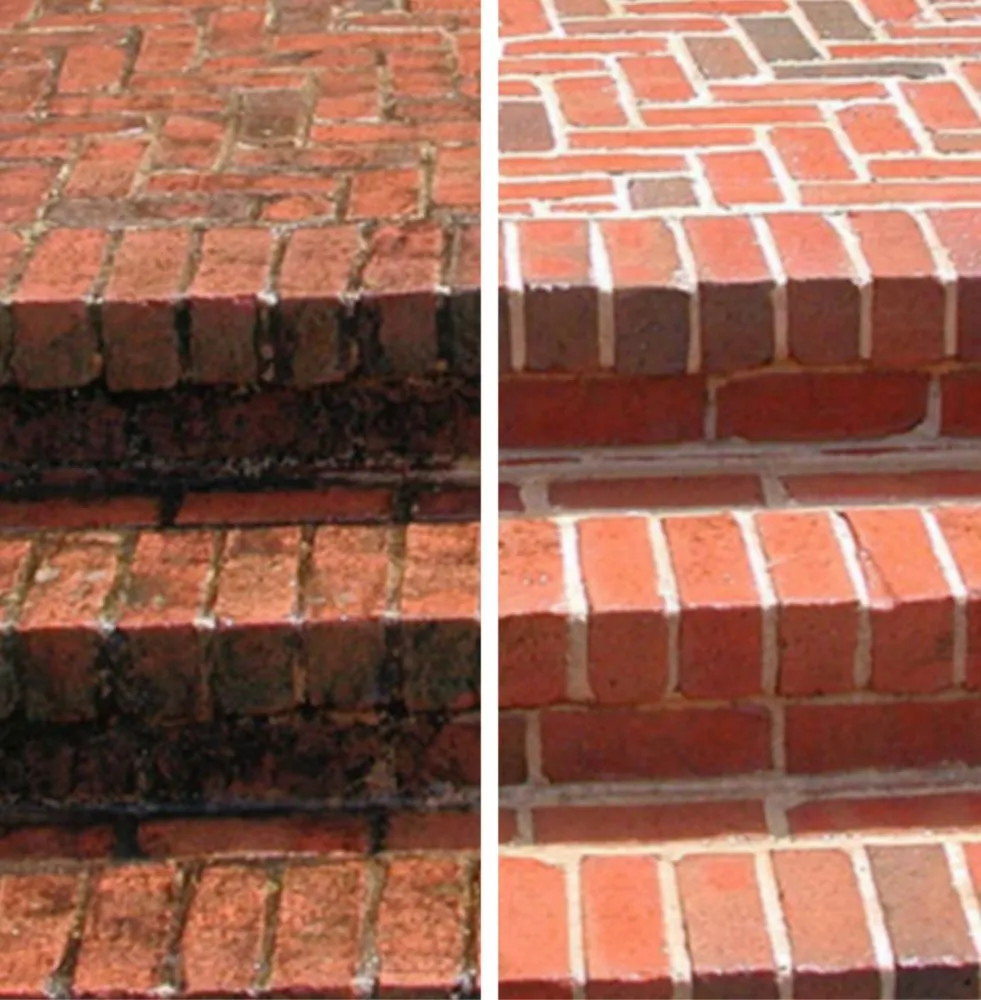 Top-rated roof leak repair experts serving Mt Washington, KY - We Clean Green Exterior Cleaning