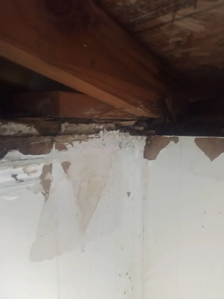 Slide of We Da Best Handyman & Roofing