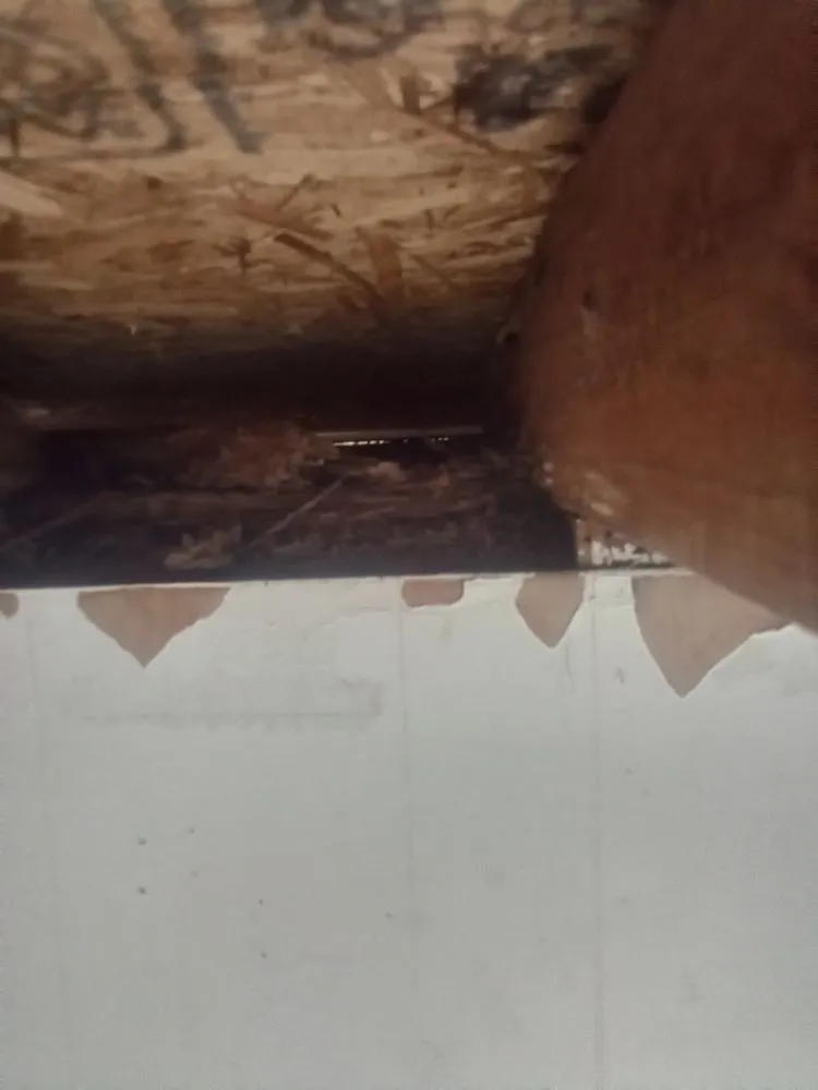 Slide of We Da Best Handyman & Roofing