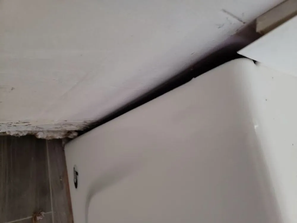 Slide of We Paint And Remodel