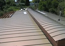 Slide of We Roof