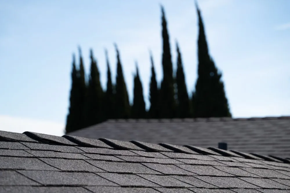 Slide of We The People Construction Roofing & Solar