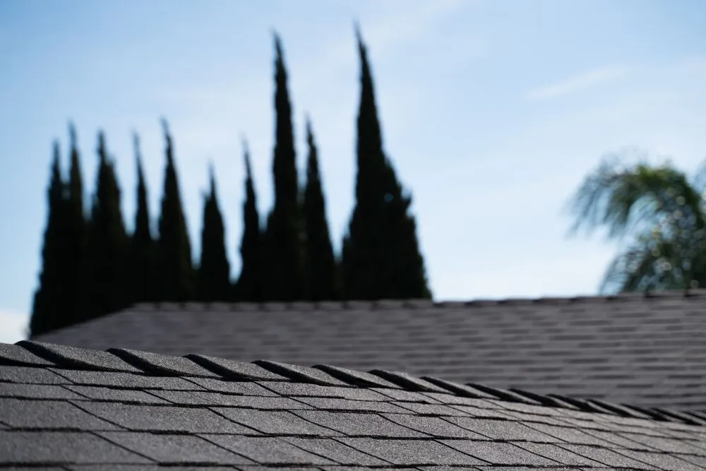 Slide of We The People Construction Roofing & Solar