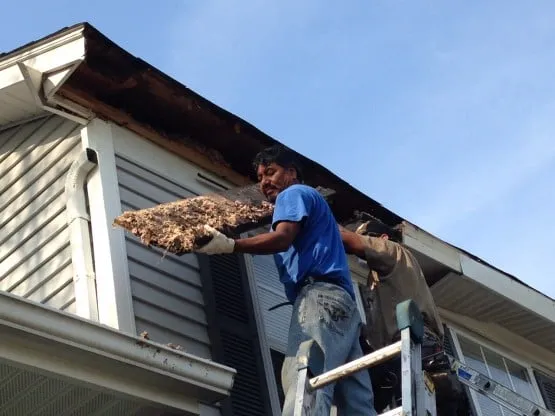 Local metal roofing installation after storm damage across Arlington Height, IL - Weather Shield Construction