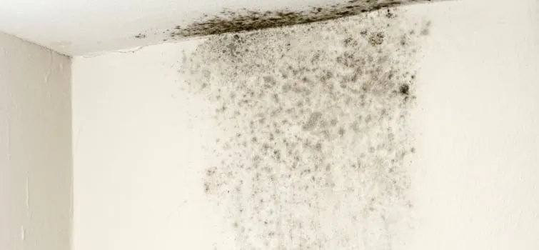 Reliable roof leak repair in Arlington Height, IL by Weather Shield Construction