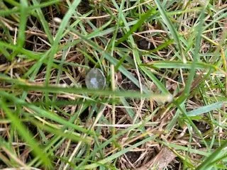 Slide of Weathersafe Restoration