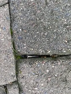 Slide of Weathersafe Restoration