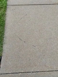 Slide of Weathersafe Restoration