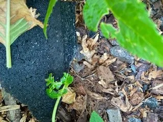 Slide of Weathersafe Restoration