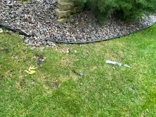 Slide of Weathersafe Restoration