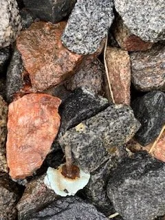 Slide of Weathersafe Restoration