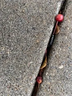 Slide of Weathersafe Restoration