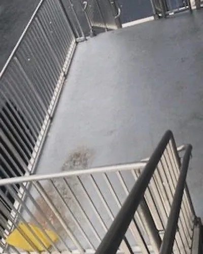 Slide of WegoDaDistance