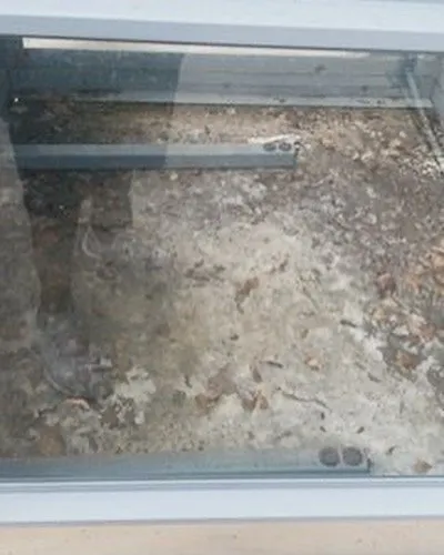 Slide of WegoDaDistance