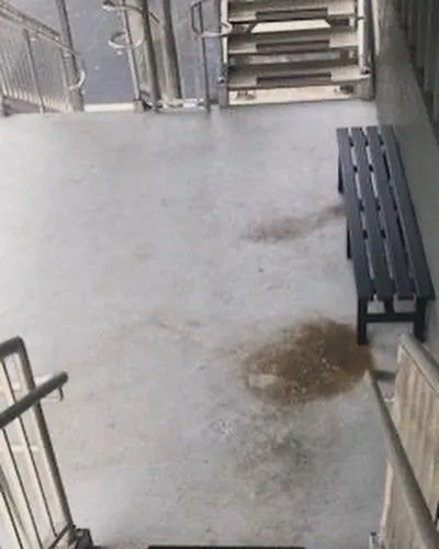 Slide of WegoDaDistance