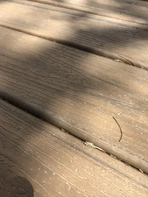 Well-Dun Construction Logo