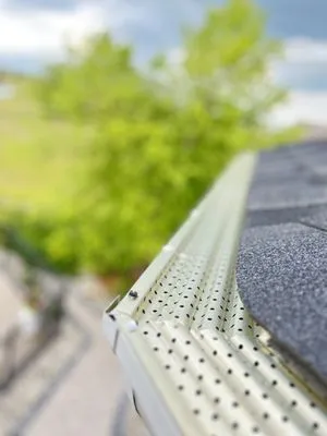 Well Hung Gutters Logo