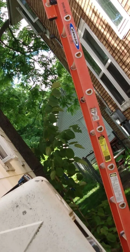 Slide of Wells Building