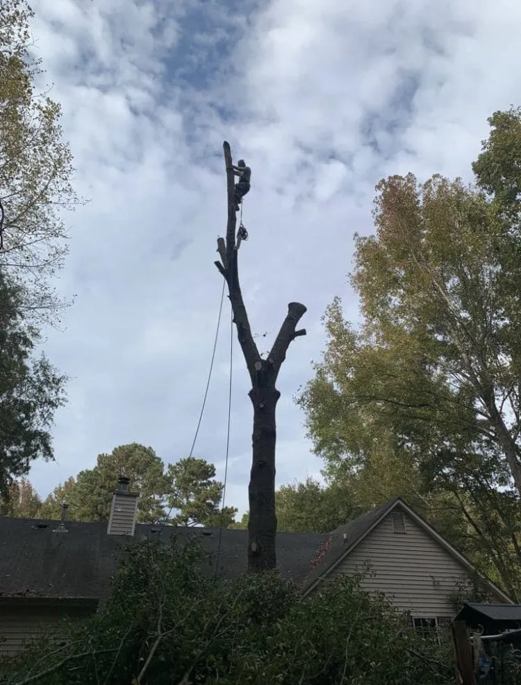 Slide of WELME Services