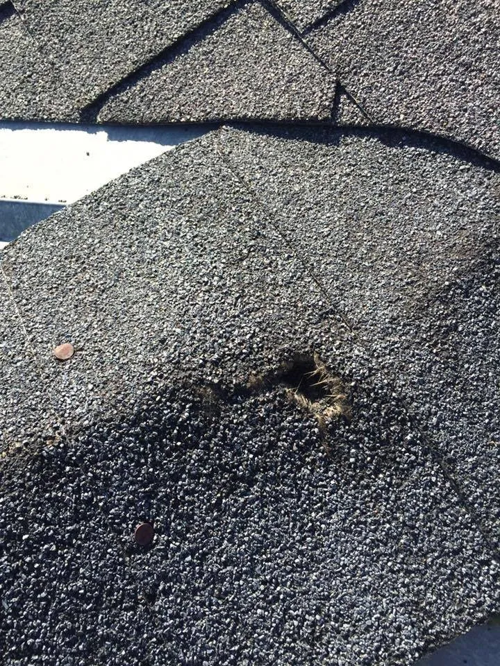 Slide of Welter Construction