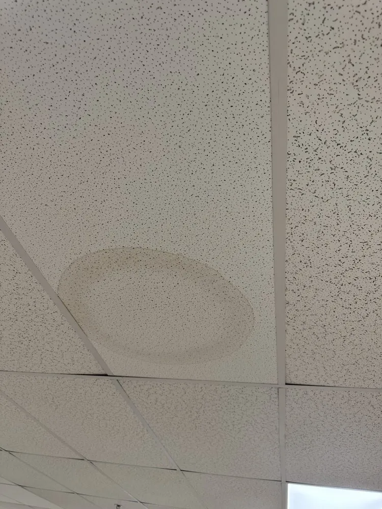 Slide of Werner Roofing