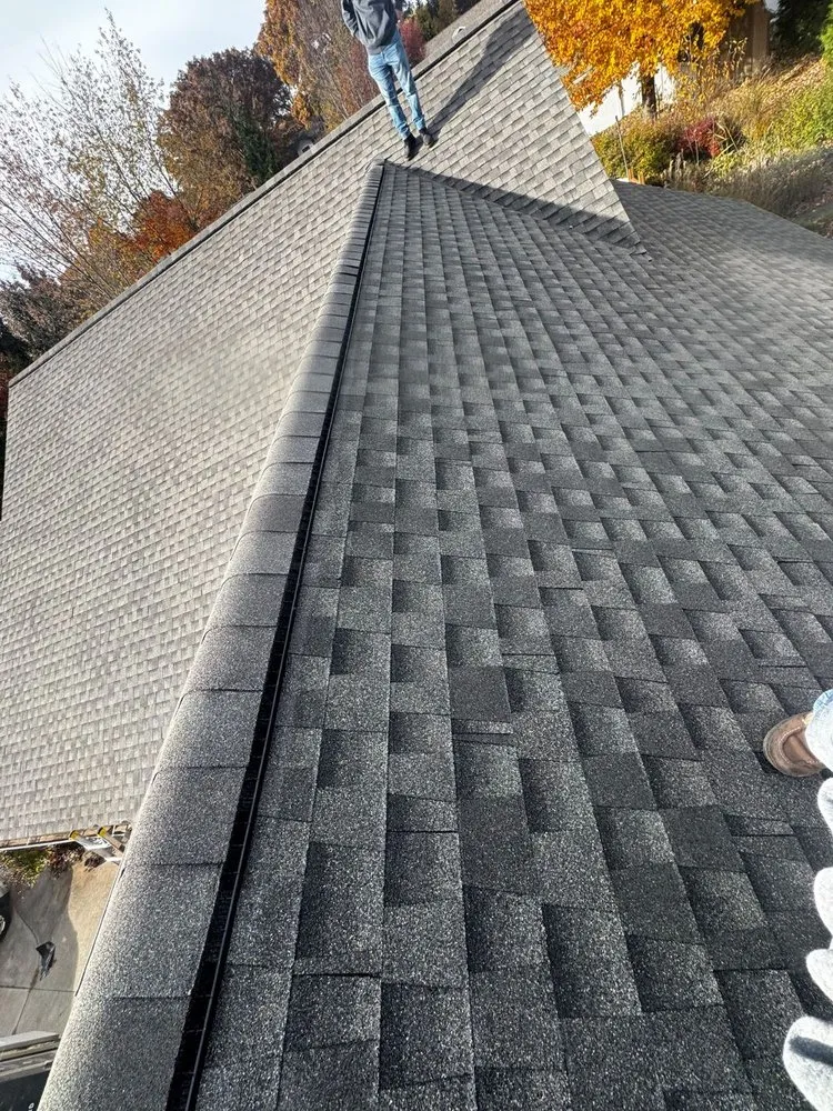 Slide of Werner Roofing