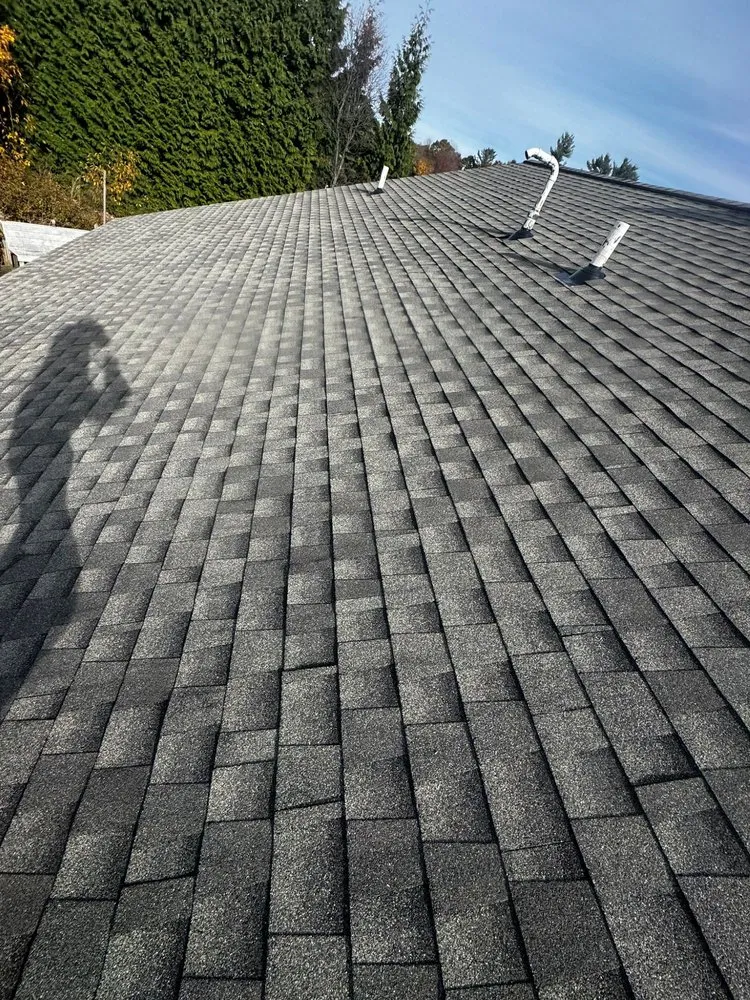 Slide of Werner Roofing