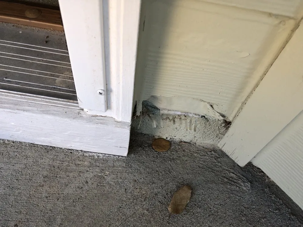 Slide of Wes Does It