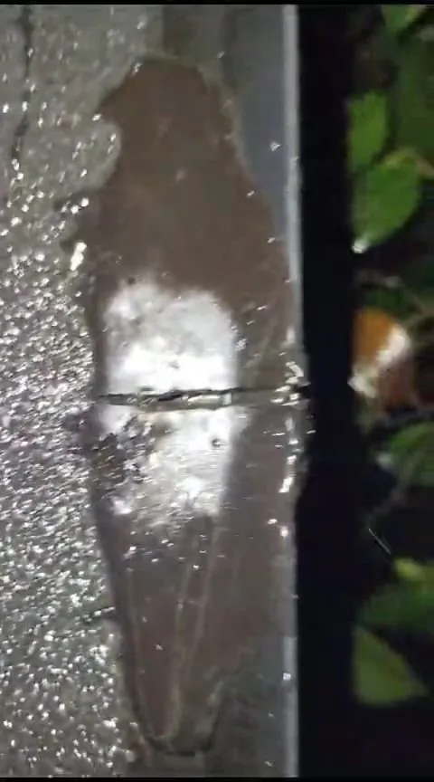 Slide of West Coast Home Services