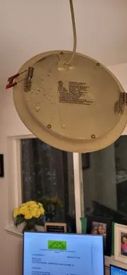 West Coast Home Services Logo