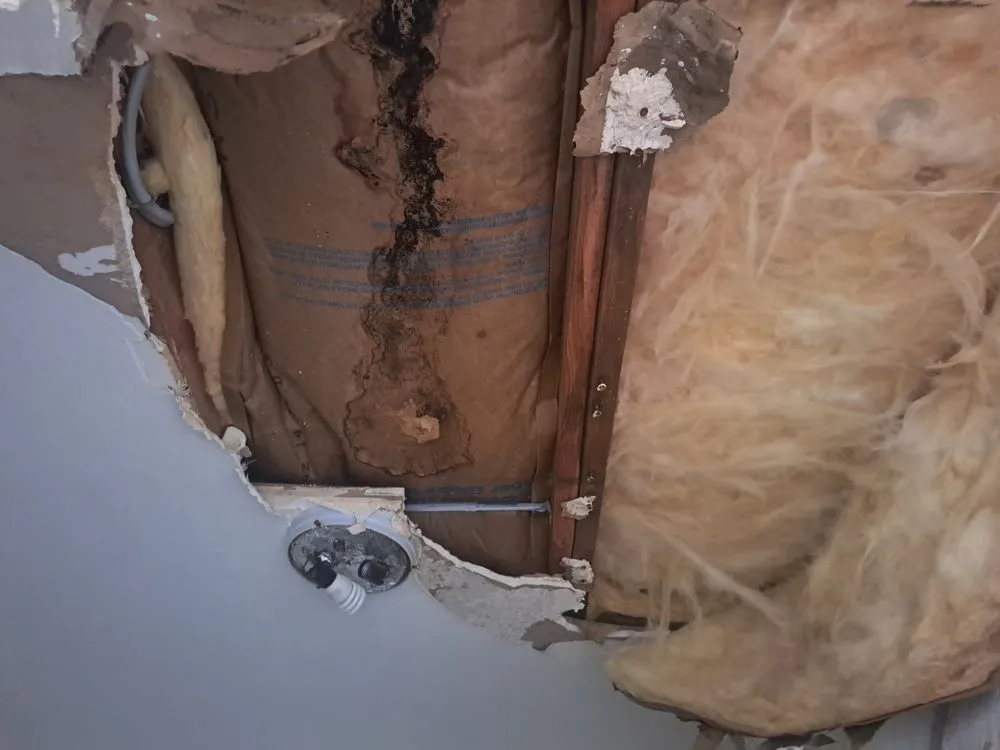 Slide of West Coast Roofing