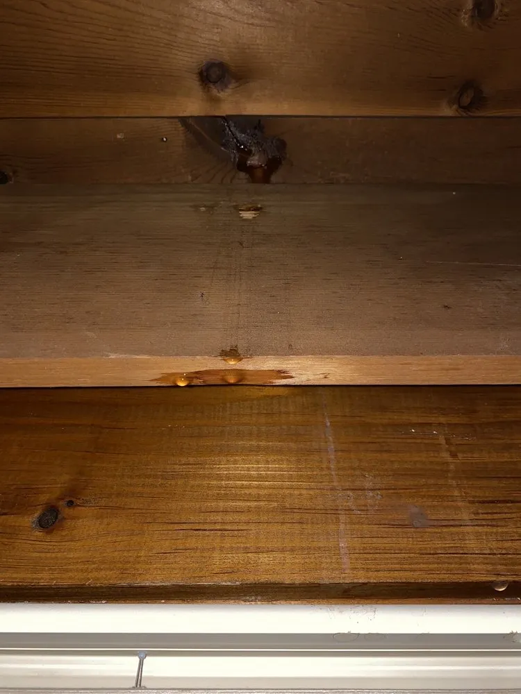 Slide of West Coast Roofing