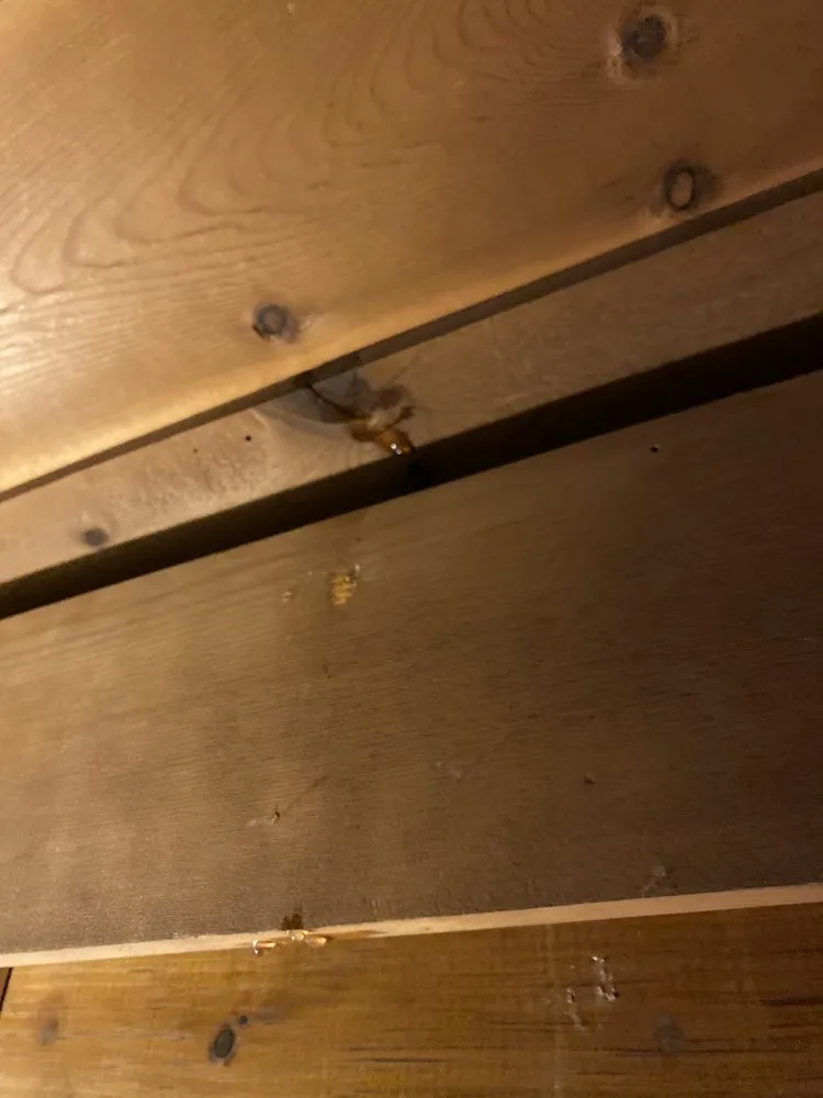 Slide of West Coast Roofing