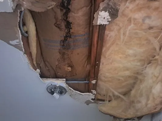 West Coast Roofing Logo