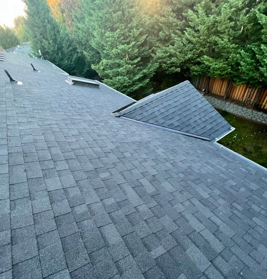 Slide of Western Region Gutter Alliance