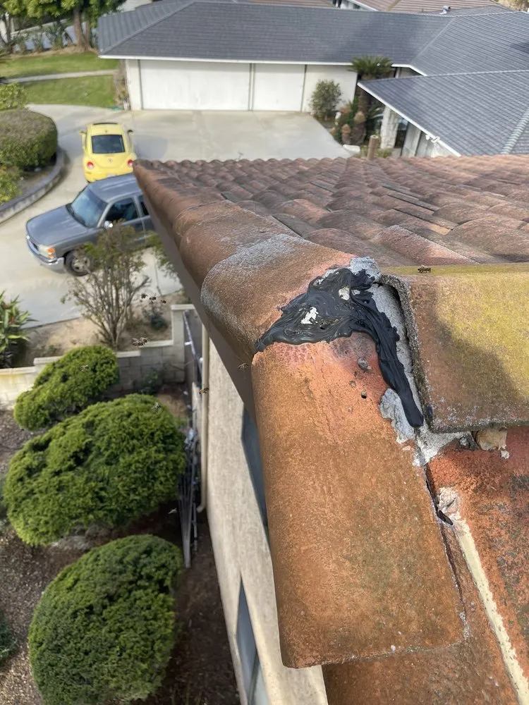 Slide of Western Roofing Systems