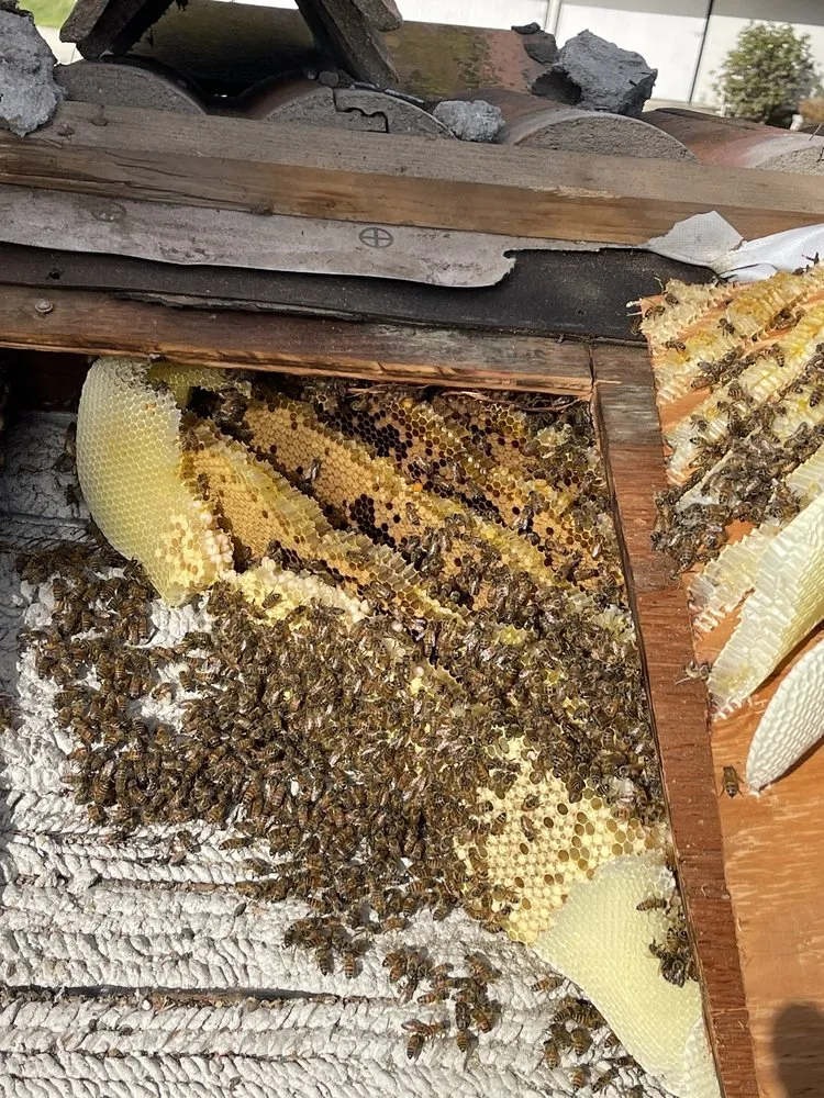 Slide of Western Roofing Systems