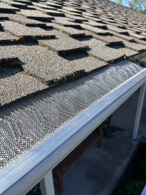 Slide of Western Sierra