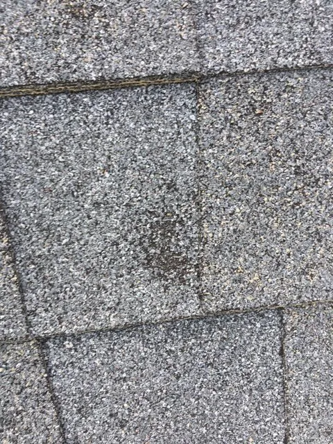 Slide of Westside Construction