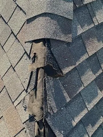 Slide of What-A-Roof