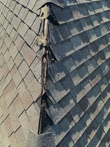 Slide of What-A-Roof