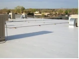 Slide of What Cha Gonna Do? Construction