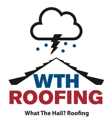 What The Hail? Roofing Logo
