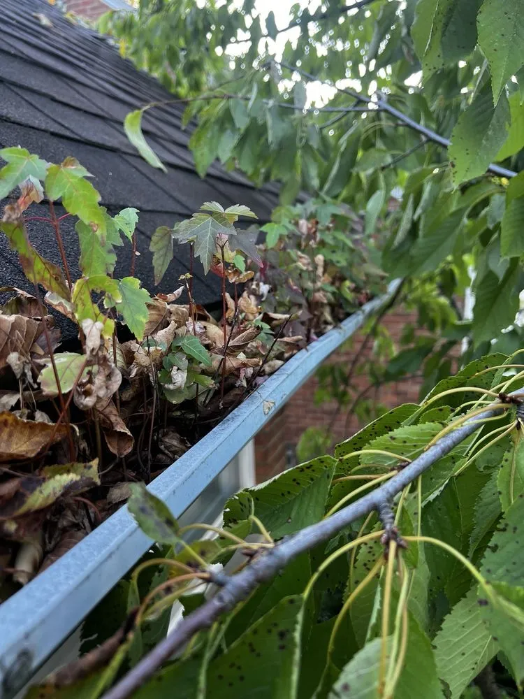 Slide of What We Will