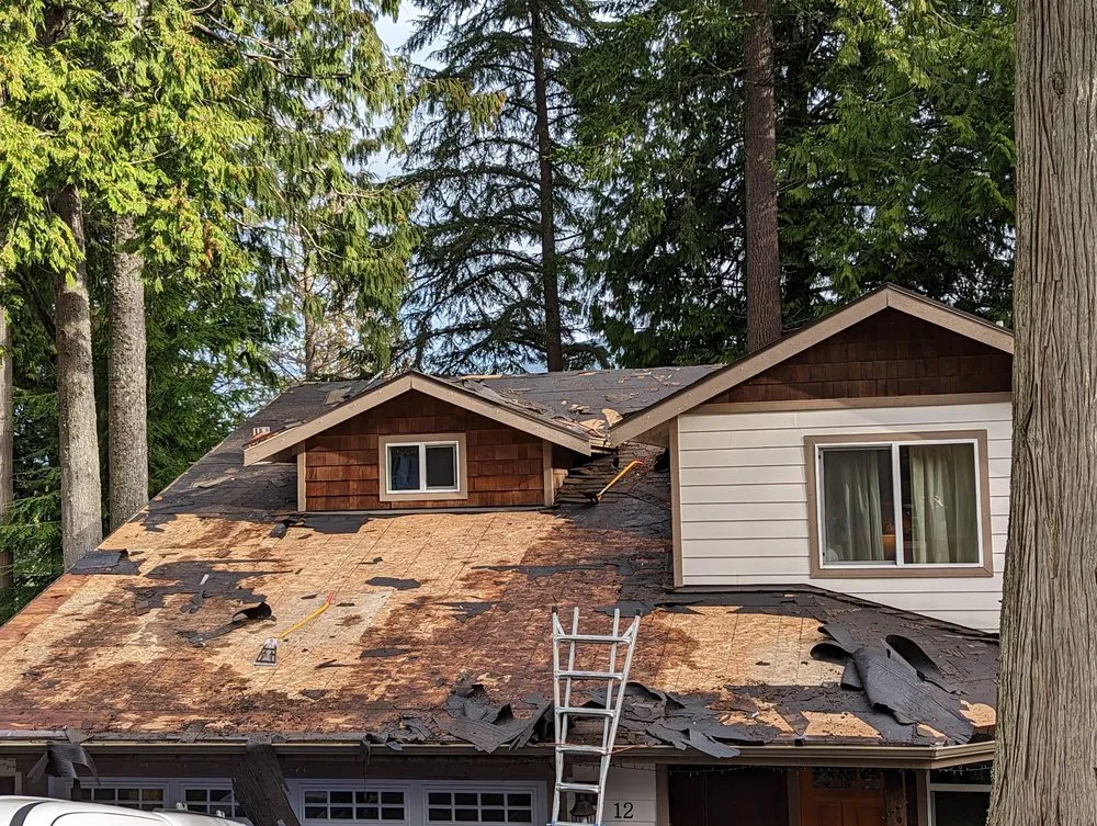 Slide of Whatcom Roofing & Home Repair